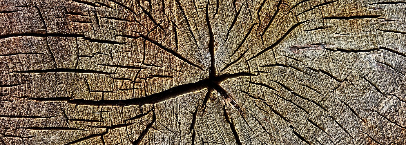 Arten von Holzwerkstoffen, Bauholz