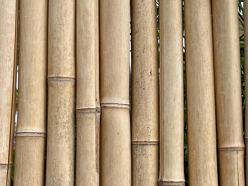 Bambus Sichtschutz in Österreich?, Sichtschutz Garten