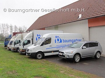 Baumgartner Gesellschaft m.b.H., Ofensysteme, Kaminsysteme, Pelletöfen, 8341, Paldau