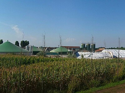 Biogas als erneuerbare Energiequelle