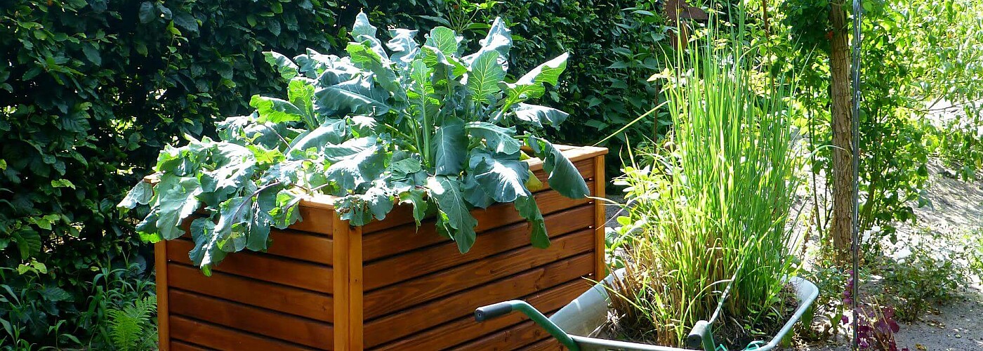 Hochbeet – Vorteile und Materialien, Gartenpflege