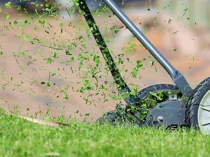 Tipps zum Rasenmähen, Gartenpflege