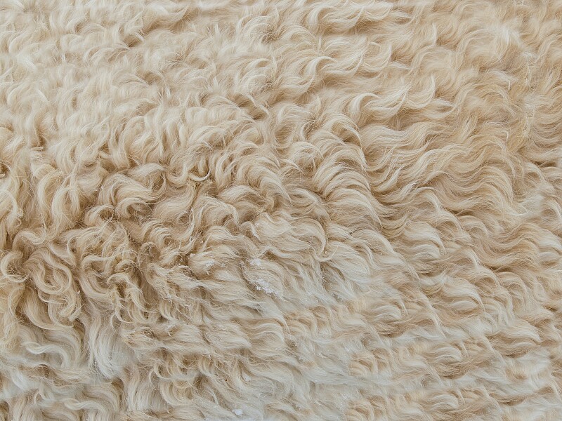 Wärmedämmung mit Schafwolle, Fassaden, Vollwärmeschutz
