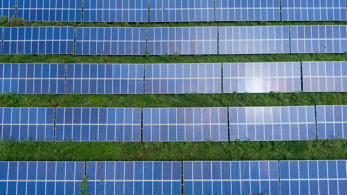 Solar-Panele, Dachbegrünung, Gründächer, Klimawandel